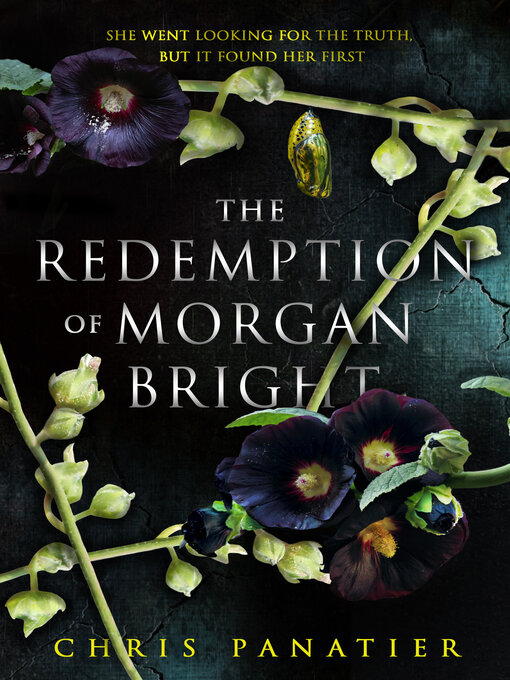 Title details for The Redemption of Morgan Bright by Chris Panatier - Wait list